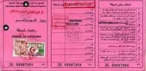 Photo du recto du permis de conduire algérien rose